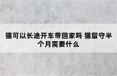 猫可以长途开车带回家吗 猫留守半个月需要什么